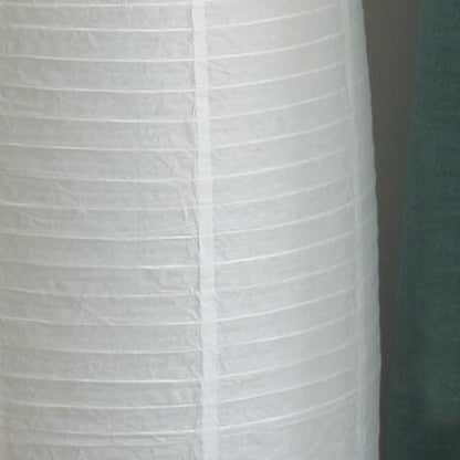 Nordic Minimalist Rice Paper Column 2-Light Standing Floor Lamp