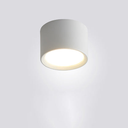 Modern Minimalist Cylinder Aluminum Acrylic LED Flush Mount Ceiling Light For Hallways