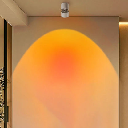 Modern Minimalist Sunset Sunrise Aluminum Cylinder Adjustable Spotlight LED Semi-Flush Mount Ceiling Light For Living Room